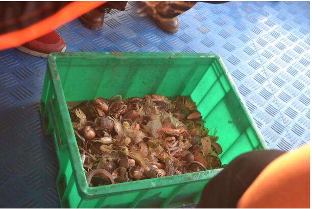 1556182182605844.jpg 6.jpg